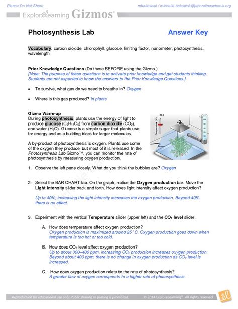 Gizmo Photosynthesis Lab Answer Key PDF