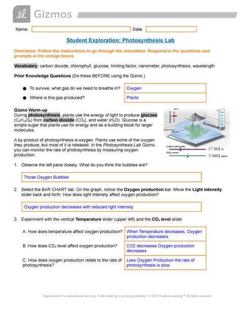 Gizmo Photosynthesis Lab Answers Doc