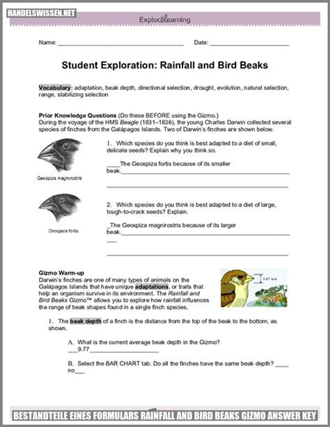 Gizmo Rainfall And Bird Beaks Answers Key Reader