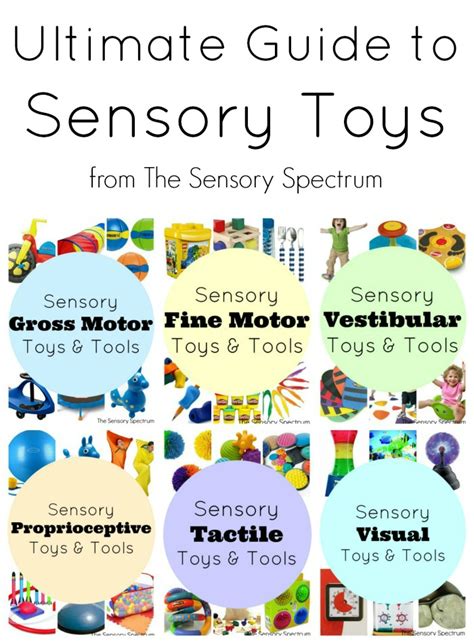 Gizmo Toys: A Guide to the Ultimate Sensory Play Companions