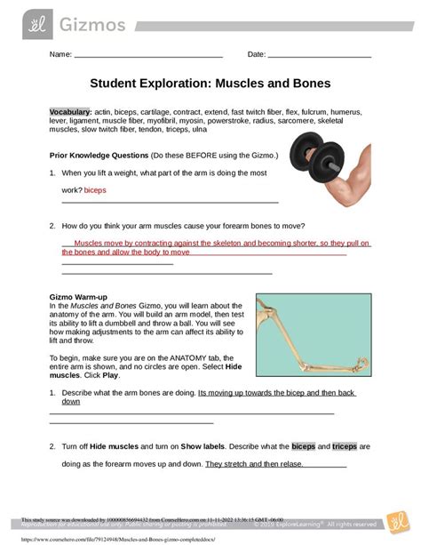 Gizmo Warm Up Answers Student Exploration Kindle Editon