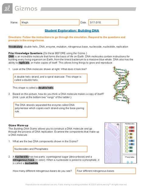 Gizmos Answer Key For Building Dna Reader