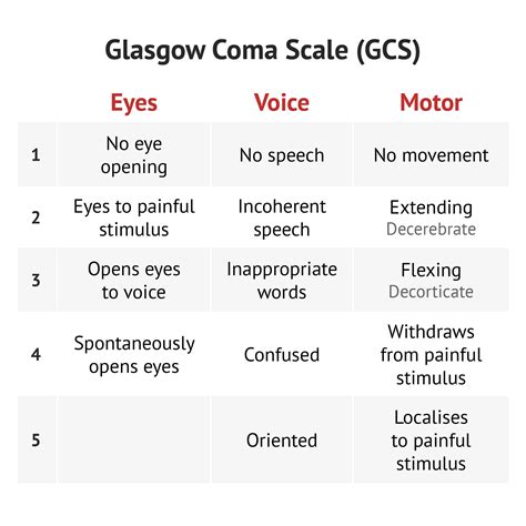 Glasgow Coma Scale Calculator: Assess Consciousness in 3 Easy Steps