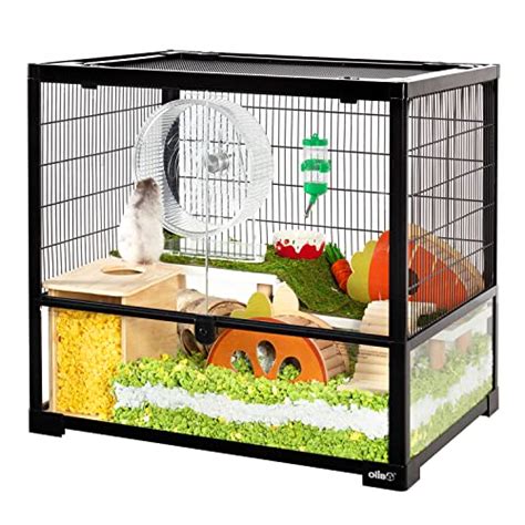 Glass Aquariums for Hamsters: A Comprehensive Guide to Transparency and Well-being