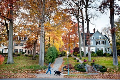 Glen Ridge: A Vibrant Suburb in the Heart of New Jersey