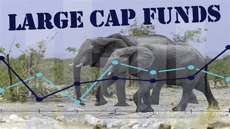 Global Large Cap Funds: 5-Star Performers for Your Investment Portfolio