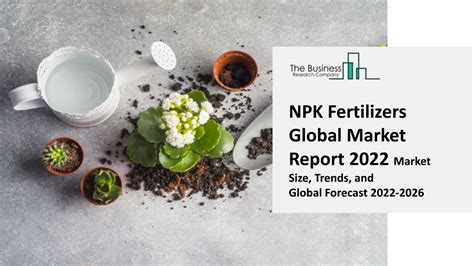 Global NPK Fertilizer Market Size