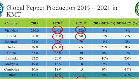 Global Pepper Price Outlook