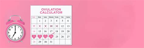 Global Period Calculator: Unlocking Precision in Menstrual Cycle Tracking