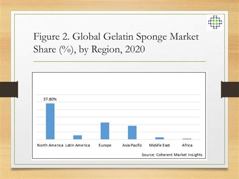 Global Sponge Market Analysis