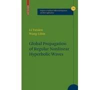 Global propagation of Regular Nonlinear Hyperbolic Waves 1st Edition Reader