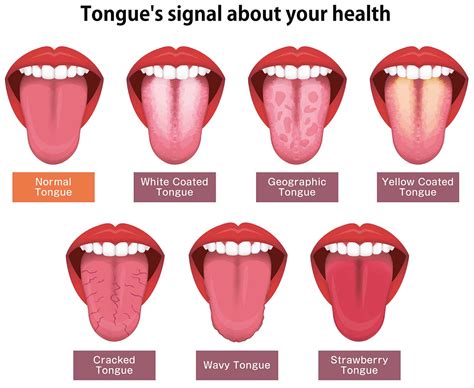 Glossifleur: Unlocking the Power of Your Tongue for Health and Well-being