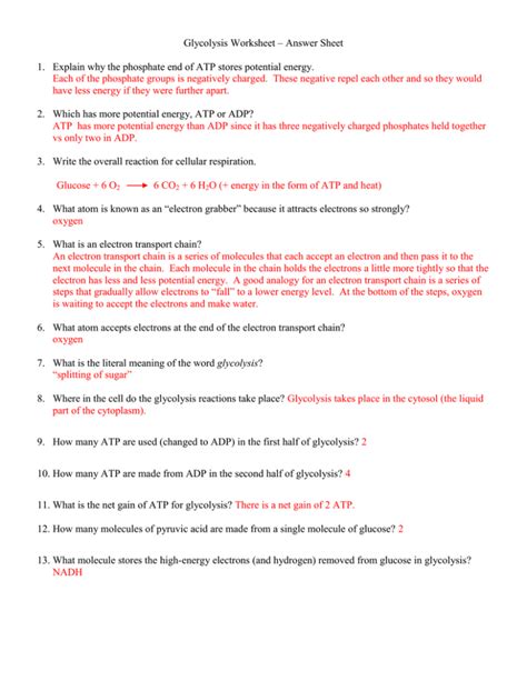Glycolysis Questions And Answers PDF