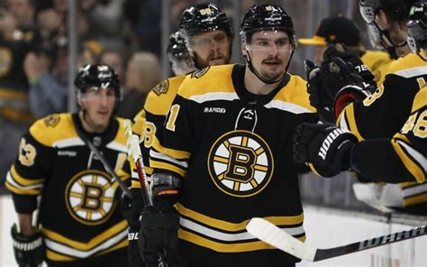 Go Bruins! A Comprehensive Guide to the Boston Bruins