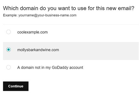 GoDaddy professional email setup for US businesses