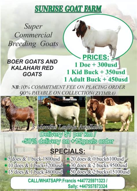 Goat Farm for Sale in Malaysia 2025: A Comprehensive Guide