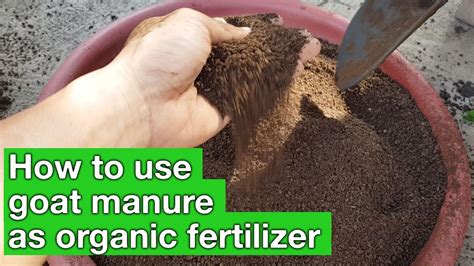 Goat Manure Compost Machine: 12 Unbeatable Ways to Supercharge Your Soil