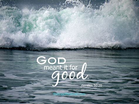 God Meant it for Good Kindle Editon