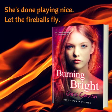 Going Down in Flames 5 Book Series
