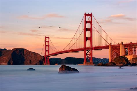 Golden Gate Doc