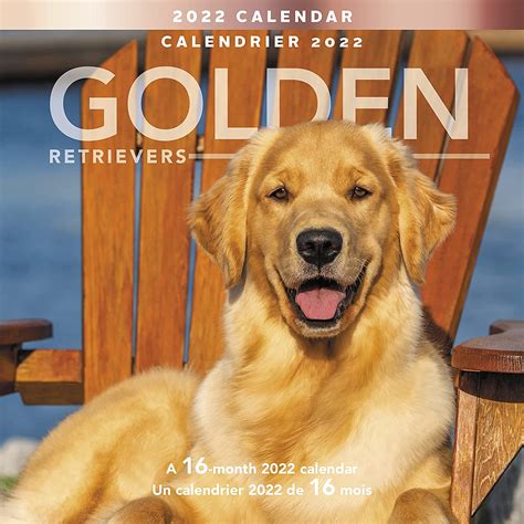 Golden Retrievers Wall Calendar Mead PDF