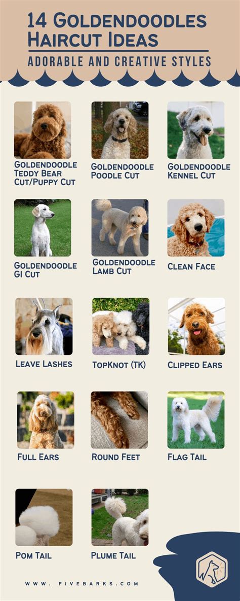 Goldendoodle Grooming Chart