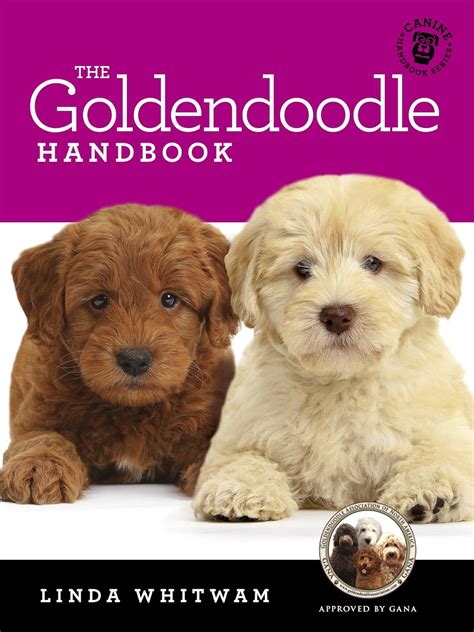 Goldendoodle Handbook Essential Prospective Handbooks Epub