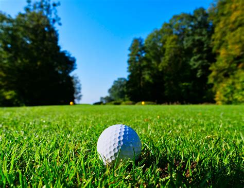 Golf & Zen Planner Daily Morsels of Golf Psychology Reader