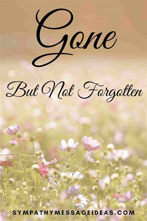 Gone But Not Forgotten: Old-Fashioned Phrases that Bring the Past to Life