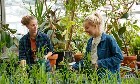 Good Colleges for Forestry: Nurturing Stewards of the Green