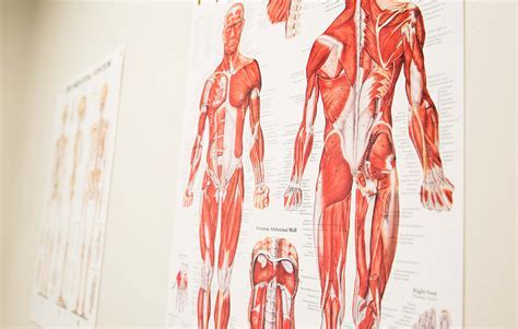 Good Exercise Science Schools: Nurturing the Science of Human Movement