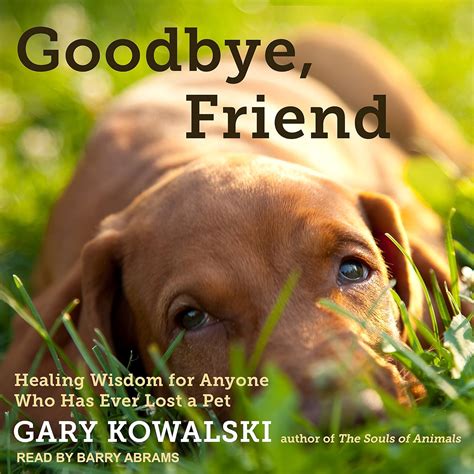 Goodbye Friend Healing Wisdom for Anyone Who Has Ever Lost a Pet Doc