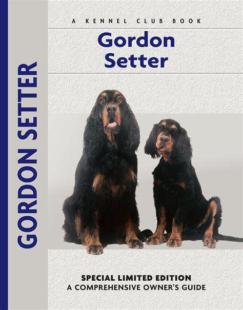 Gordon Setter Comprehensive Owner s Guide Reader