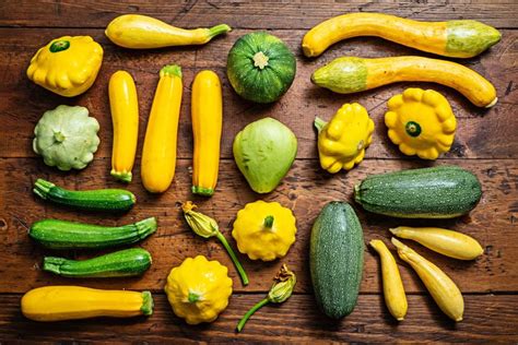 Gourde Us: Your Guide to the Most Versatile Squash