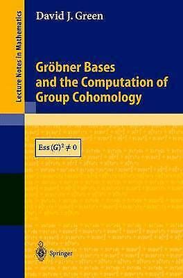 GrÃ¶bner Bases and the Computation of Group Cohomology 1st Edition Reader