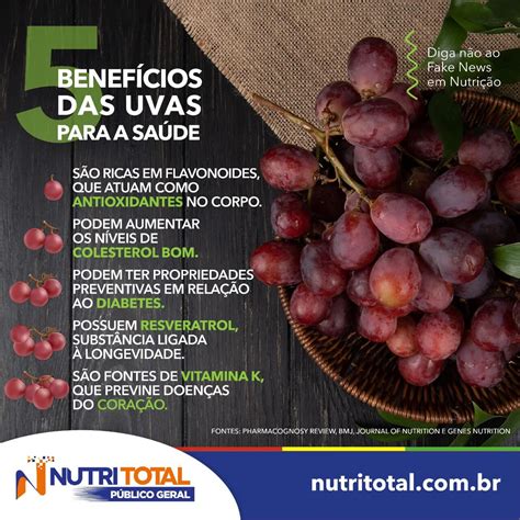 Grávidas podem comer uvas? Descubra os benefícios e riscos deste alimento