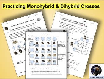 Grade 12 Term 2 Monohybrid And Dihybrid Crosses Answers Reader