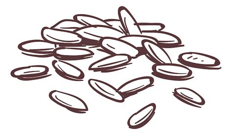 Grain Of Rice Drawing