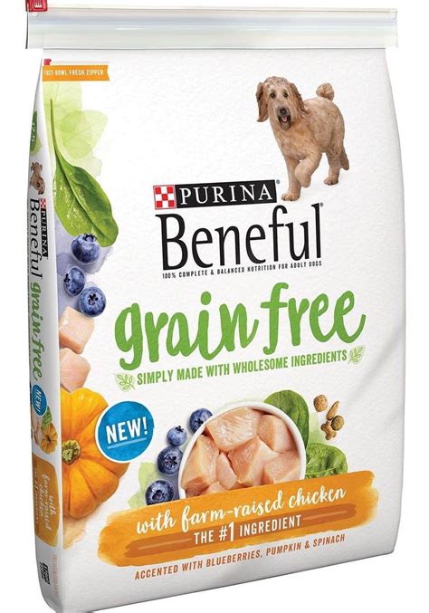 Grain-Free Dog Food: An Exhaustive Guide to Choosing the Healthiest Diet for Your Canine Companion