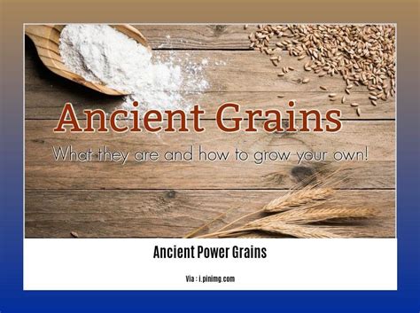 Grains to Mg: Uncovering the Hidden Potential