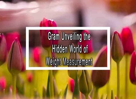 Gram Force Meaning: Unveiling the Essence of Weight and Mass