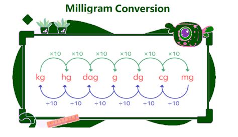 Gram vs. Milliliter: Understanding the Interchangeable Units of Measurement