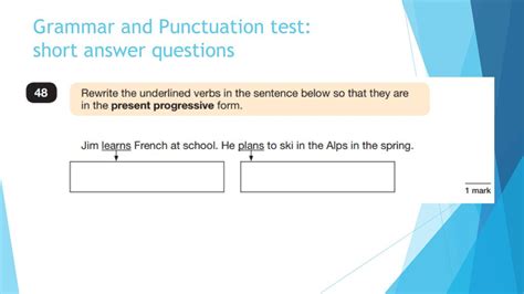 Grammar And Punctuation Test Short Answer Questions PDF