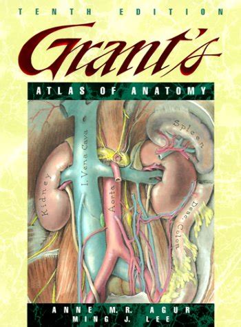 Grant s Atlas of Anatomy Grant John Charles Boileau Grant s Atlas of Anatomy PDF