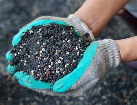 Granular Fertilizer: The 5 Essential Facts