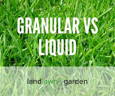 Granular Lawn Fertilizer: 5 Key Facts to Keep Your Lawn Looking Lush