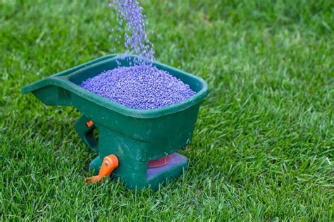 Granular Lawn Fertilizer 101: Everything You Need to Know