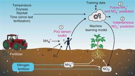 Granular Nitrogen Fertilizer: The Key to Maximizing Crop Yields and Soil Health