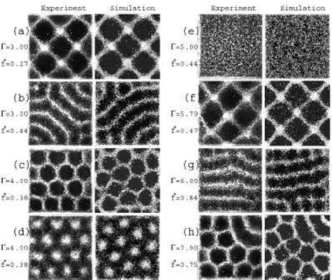 Granular Patterns Kindle Editon