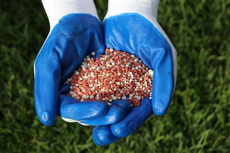 Granular fertilizer